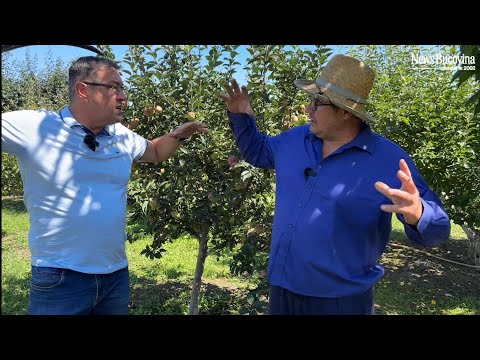 E măcel la Vornicenii Mari - Primăria le strânge cu sacii, Berzele ard pe capete! Nu e glumă...