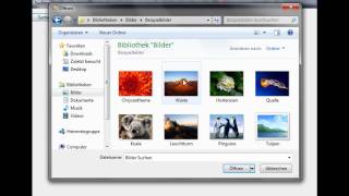 Microsoft Visual Basic Bilder (German)