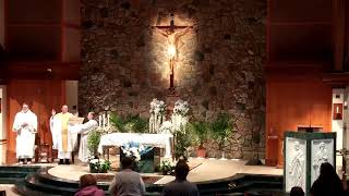 St. Francis of Assisi Belchertown Live Stream