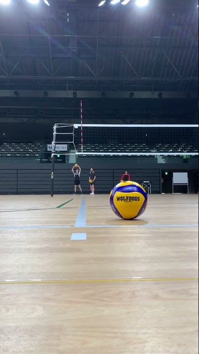 wolfdogs volley ball