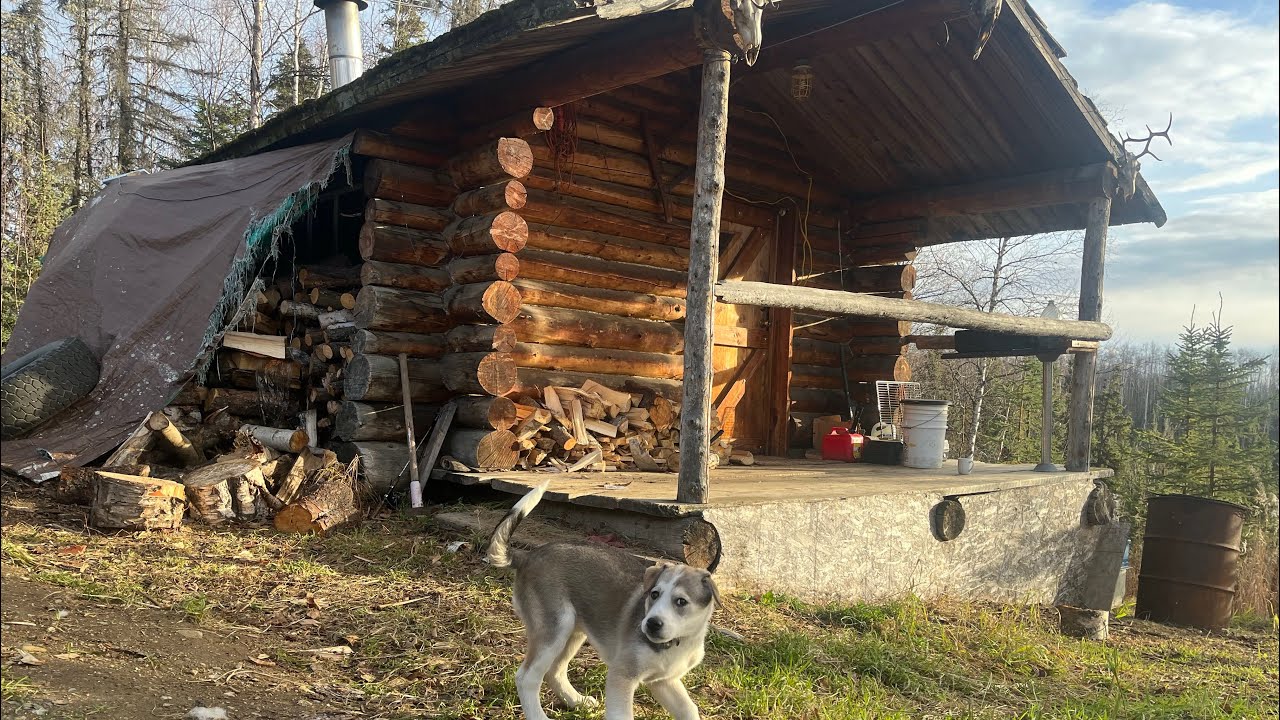 Переезд в бревенчатую хижину на Аляске