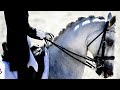 Equestrian sport | Конный спорт | Boss