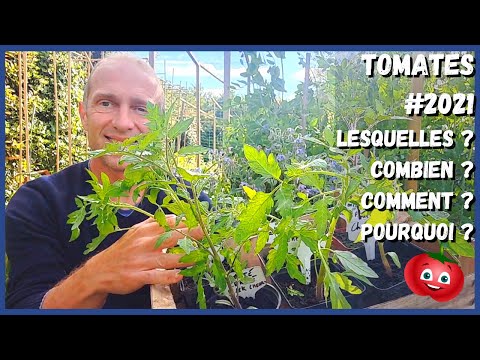 Vidéo: Quand Planter Des Tomates Pour Les Semis En 2019: Dates Générales Et Calendrier Lunaire