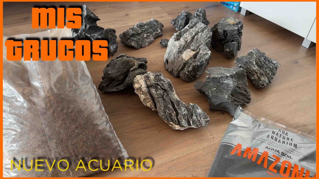 PLANIFICANDO UN NUEVO ACUARIO, TODO LO QUE DEBES TENER EN CUENTA