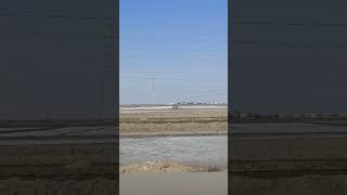 The Little Rann of Kutch