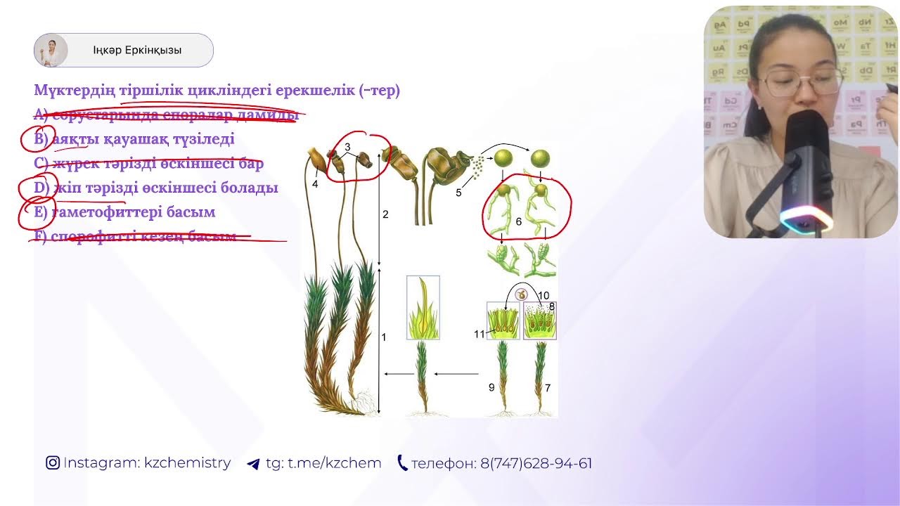 ҰБТ | БИОЛОГИЯ 2026 | НҰСҚА ТАЛДАУ | ІҢКӘР ЕРКІНҚЫЗЫ