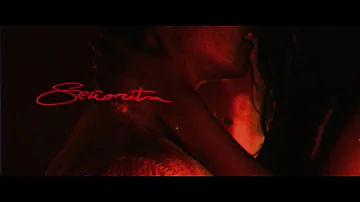 Shawn Mendes, Camila Cabello - Señorita (Lyric Video)