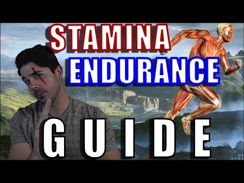 Stamina & Endurance GUIDE | Death Stranding (HUD Tips & Tricks)