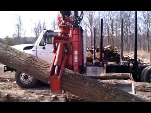 Students Sorting and Scaling Logs at the Mill