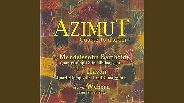 String Quartets, Op. 71, No. 2 in D Major, Hob. III:70: I. Allegro moderato