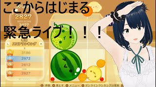 【スイカゲーム】自己べ3477！緊急ライブ配信！3500点＆ダブルスイカ狙い【新人Vtuber】