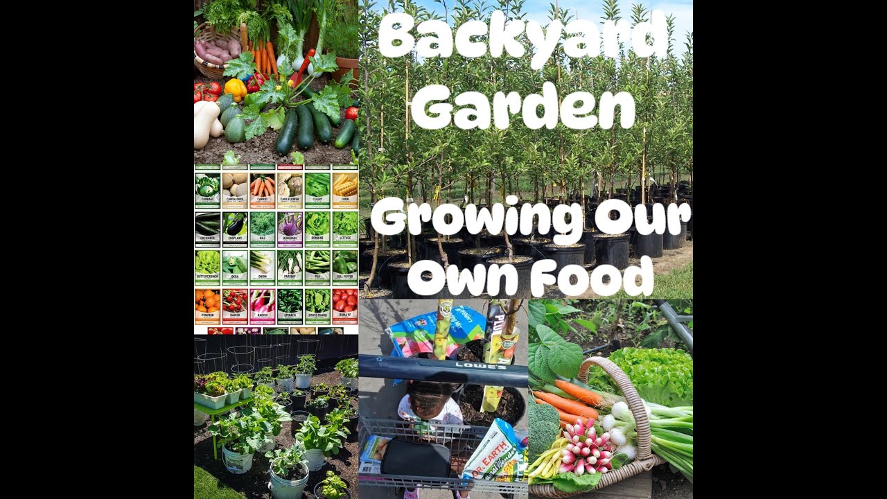 Backyard Garden | Growing Our Own Food Let's try this AGAIN - YouTube