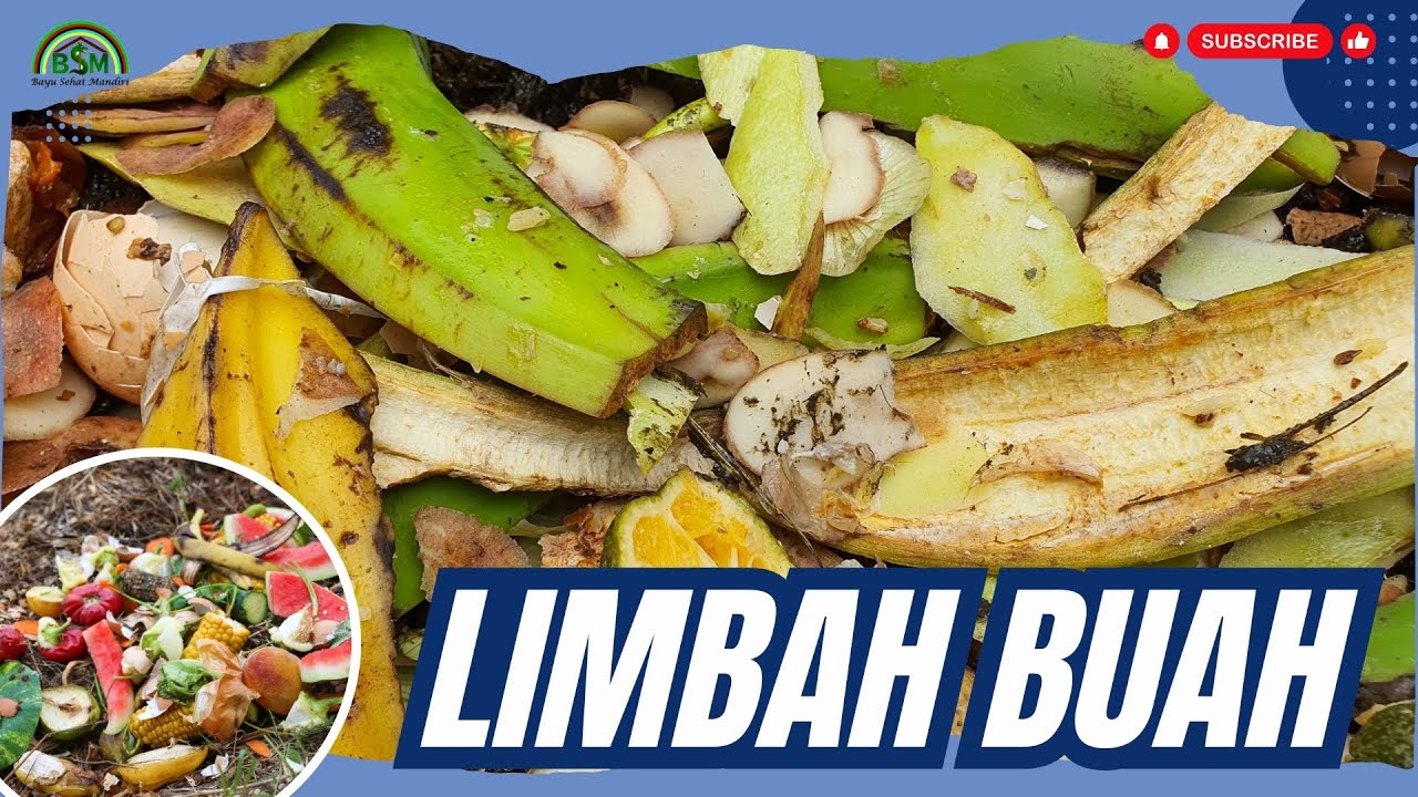 MEMANFAATKAN LIMBAH BUAH