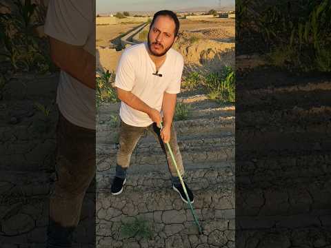 منه یار اولمادی دونیا Shorts Short Funny Comedyshorts جوک Comedy خنده 