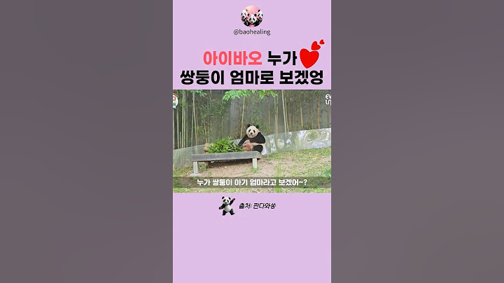 아이바오 누가 쌍둥이 아기 엄마로 보겠엉🙏😍🐼 #바오패밀리 #판다월드 #아이바오 #푸바오