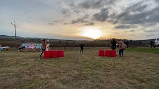 Giant Beer Pong / Volley Pong in Action!