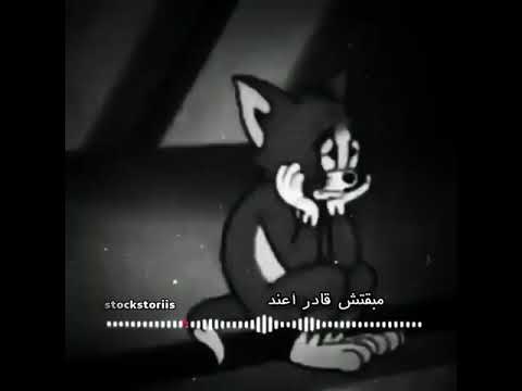 أبيوسف أمل ٢ حالة واتس Story Whatsapp ABYUSIF Aml 2