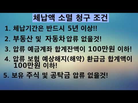 자동차의무보험과태료