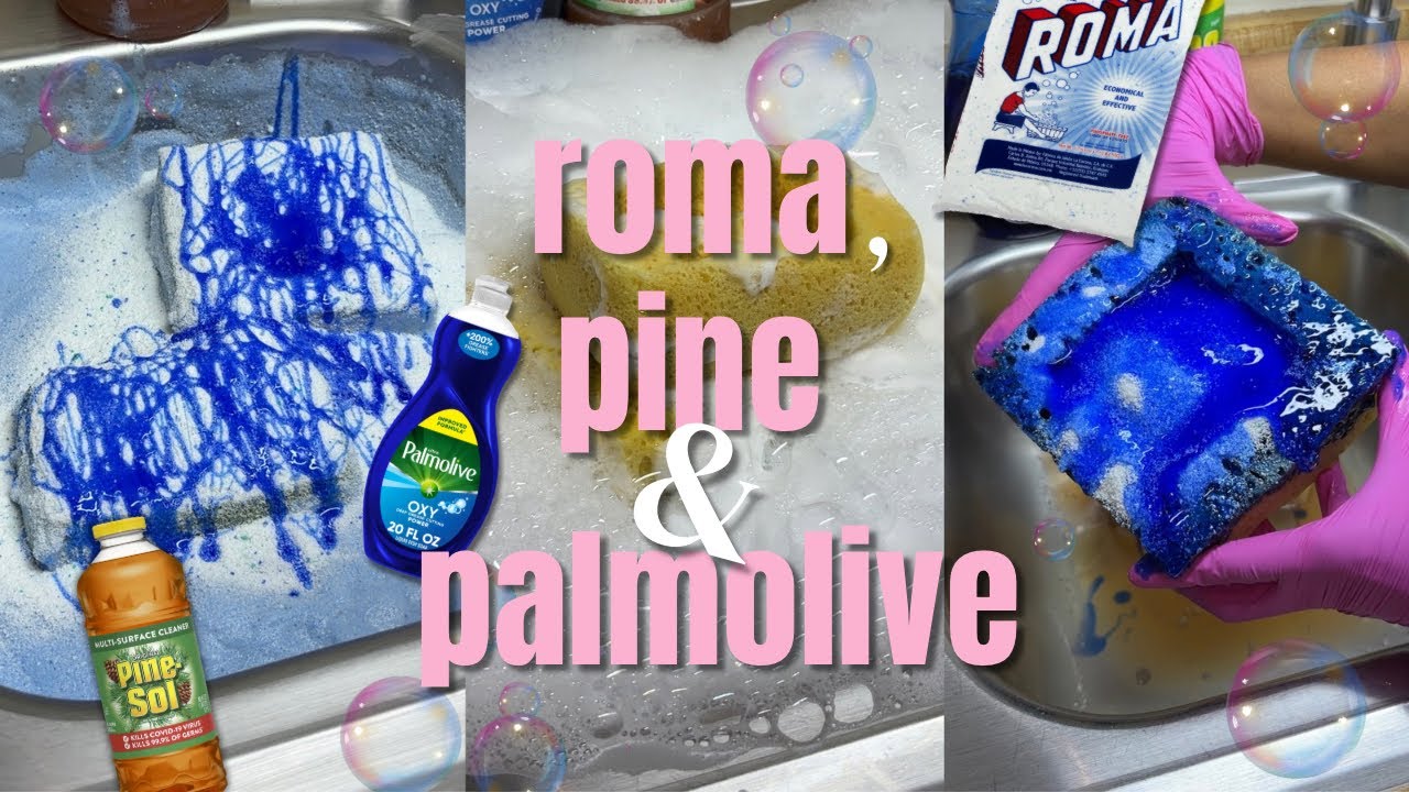 Roma, Pine & Palmolive Sponge ASMR 🧺🌲💙🫧