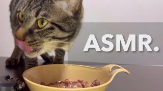 【ASMR】馬肉を食べる音 the sound of eating horse meat