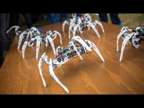 Robot