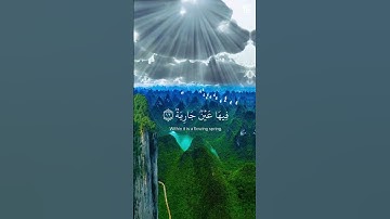 عبد الرحمن مسعد سورة الغاشية