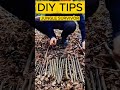 Jungle Survival Trap Build DIY 🌿 | Primitive Bushcraft ASMR (No Talking, Forest Sounds)