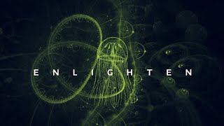 YDM House - Enlighten