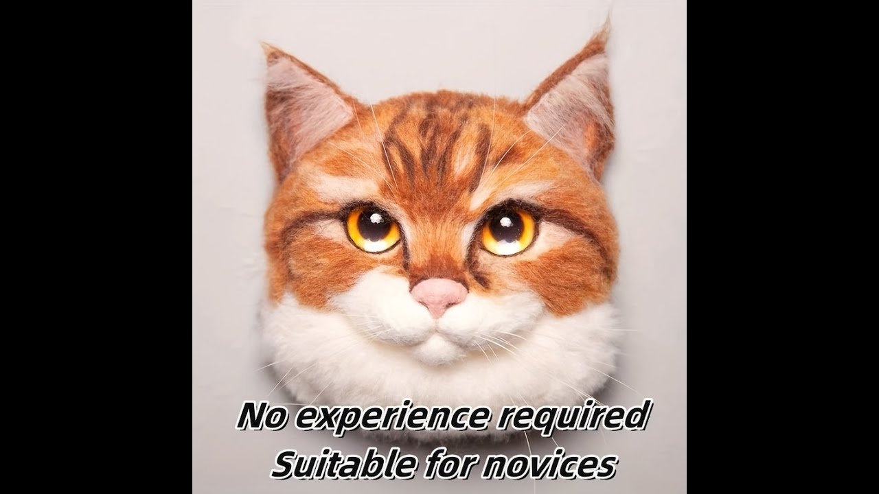 Orange cat video tutorial