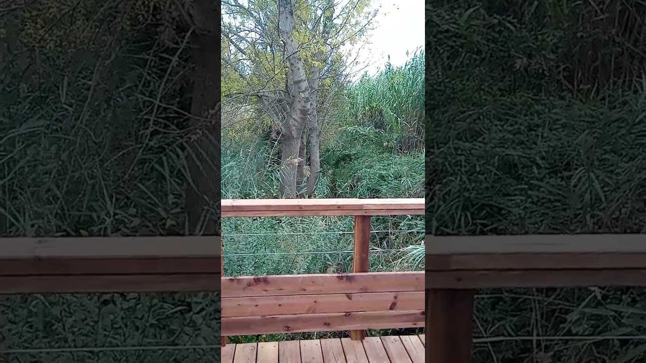 Wood Bridge - Pont en Bois EP.1