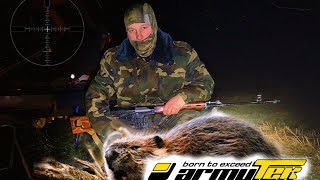 Как охотиться на бобра начинающим? #beaver #охота #hunting #armytek