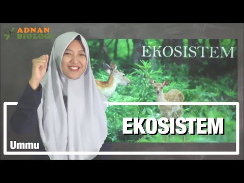 materi-komponen-biotik-dan-abiotik-ekosistem---adnanbiologi