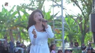 Bawang Merah  Ayu Cantika  New Callista X Dhehan Pro  Kramat Dibee 2025