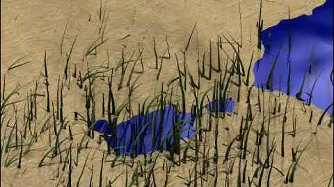 Particle System: Grass