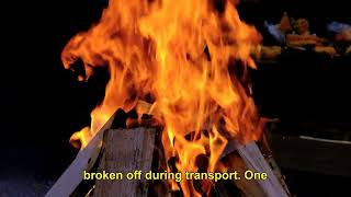 The Cursed Obsidian Jackals of the Valley of the Kings