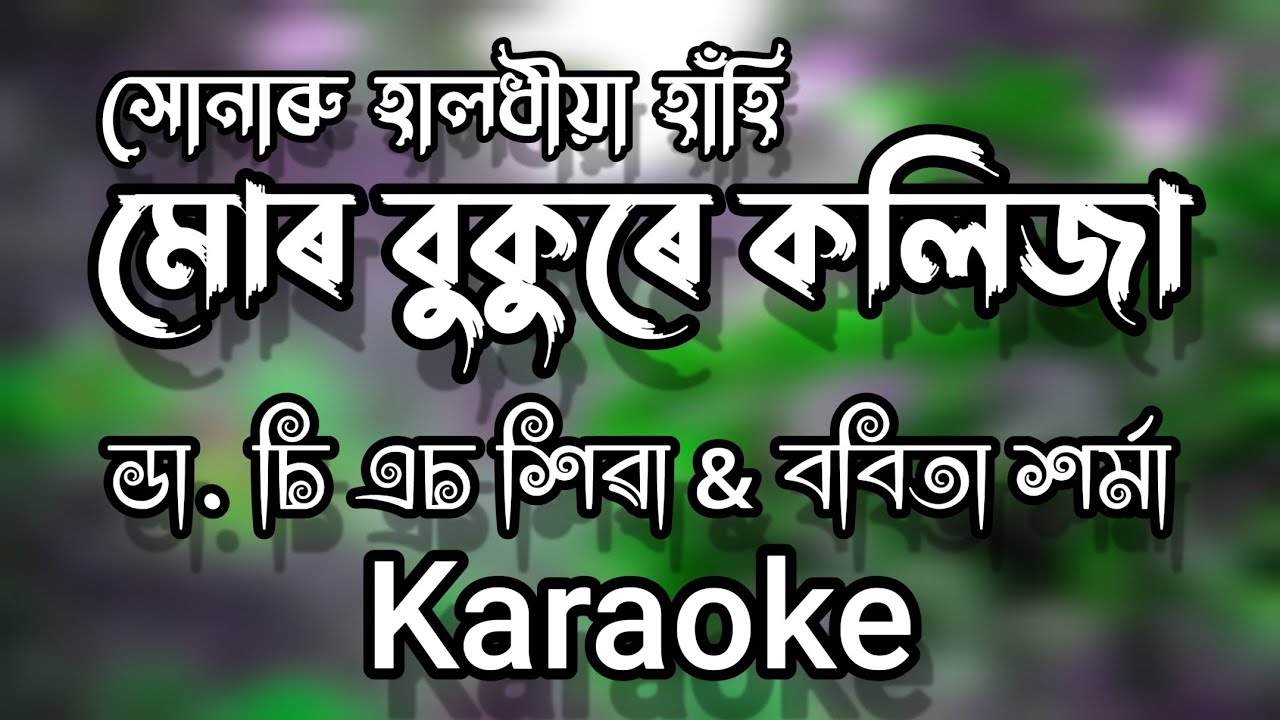 Mur Bukure Kolija  Dr C S Shivaa  Bobita Sarmah  Hunarur Halodhiya Hanhi  Assamese Karaoke