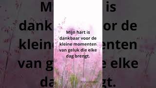 Dankbaarheid #33 Mijn hart is dankbaar voor de kleine momenten van geluk die elke dag brengt.