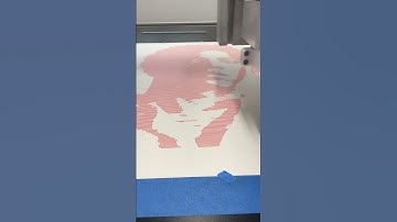 Drawing Jean-Michel Basquiat for a school display. #robotart #plotterart #cncmachine #asmr #portrait