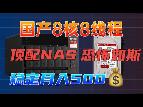 打造一台用10年都不过时的顶配NAS，威联通TVS-675+西数红盘Plus+西数SSD SN700，最强拓展NAS出战挂机每月稳定挣500