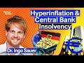 True cause of hyperinflation central bank insolvency  dr ingo sauer