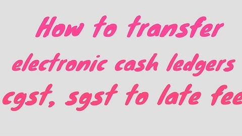 electronic cash ledger adjustments in GST explained in Telugu