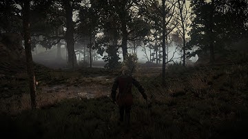 The Witcher 3: Wild Hunt | VGX Lighting Mod