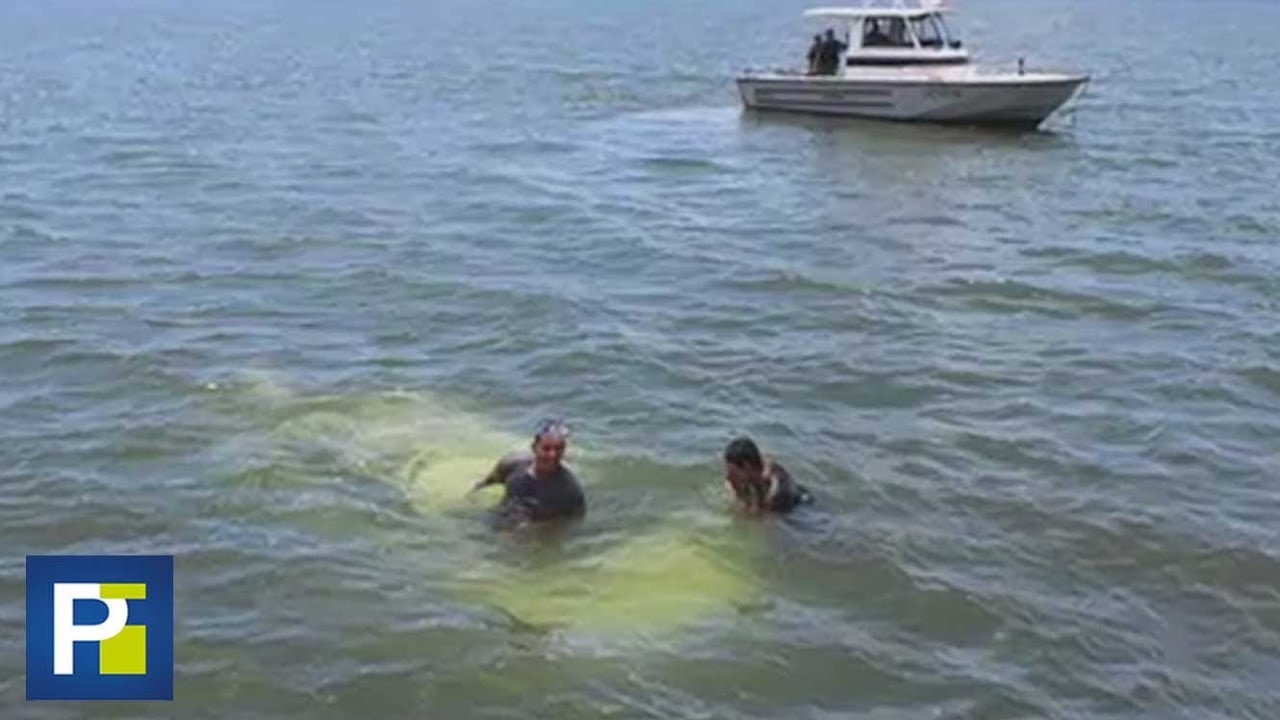 A toda velocidad, un auto cayó al agua en un lago de Guatemala con sus dos ocupantes dentro - YouTube