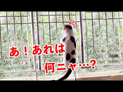 目線の先には…？