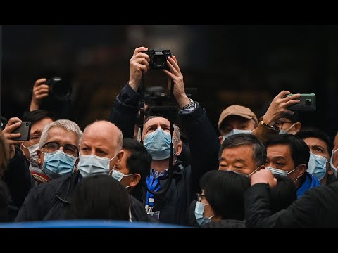China-WHO joint study