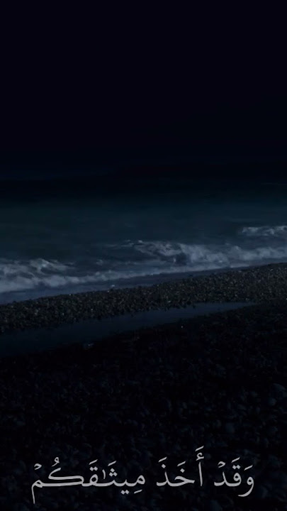 https://vt.tiktok.com/ZSB3QcPdQ/