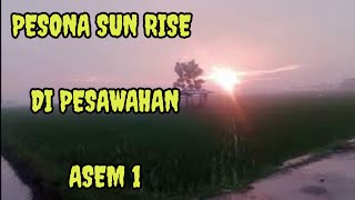 PESONA ALAM PESAWAHAN ASEM 1