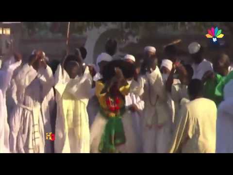 ا ولاد الشيخ البرعي الشوق لمدينة الخير 