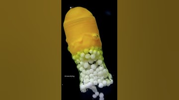 #macro #microscope #zoom #foryoupage #macrofying #chemistry #health #medicine