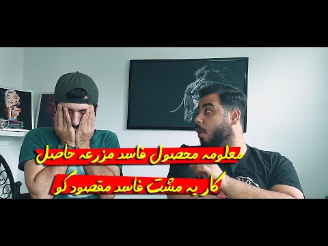ری اکشن آلبوم چل شاهین نجفی ترک بشمار